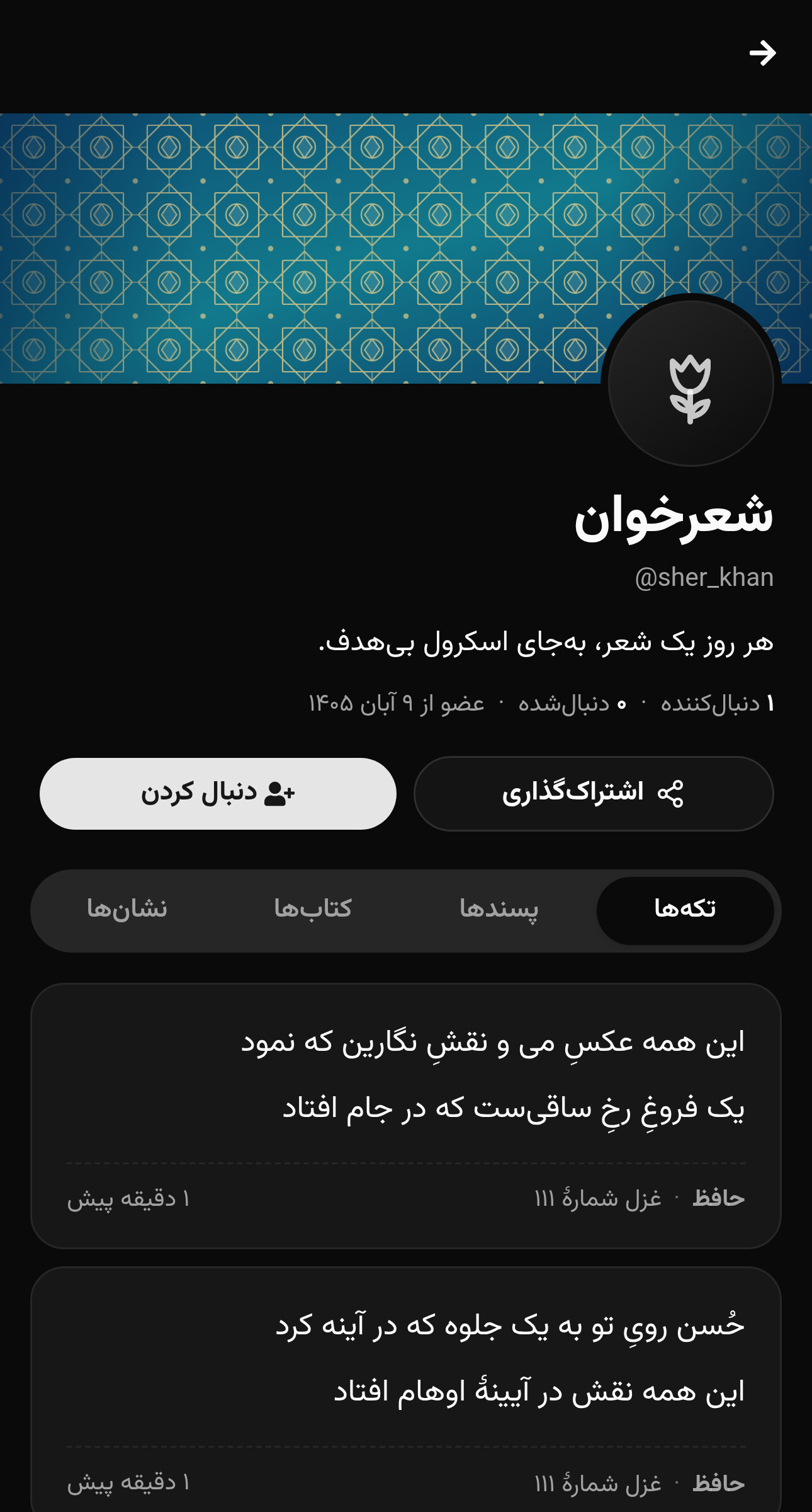 صفحهٔ عمومی یک کاربر نمونه با تکه‌های شعر